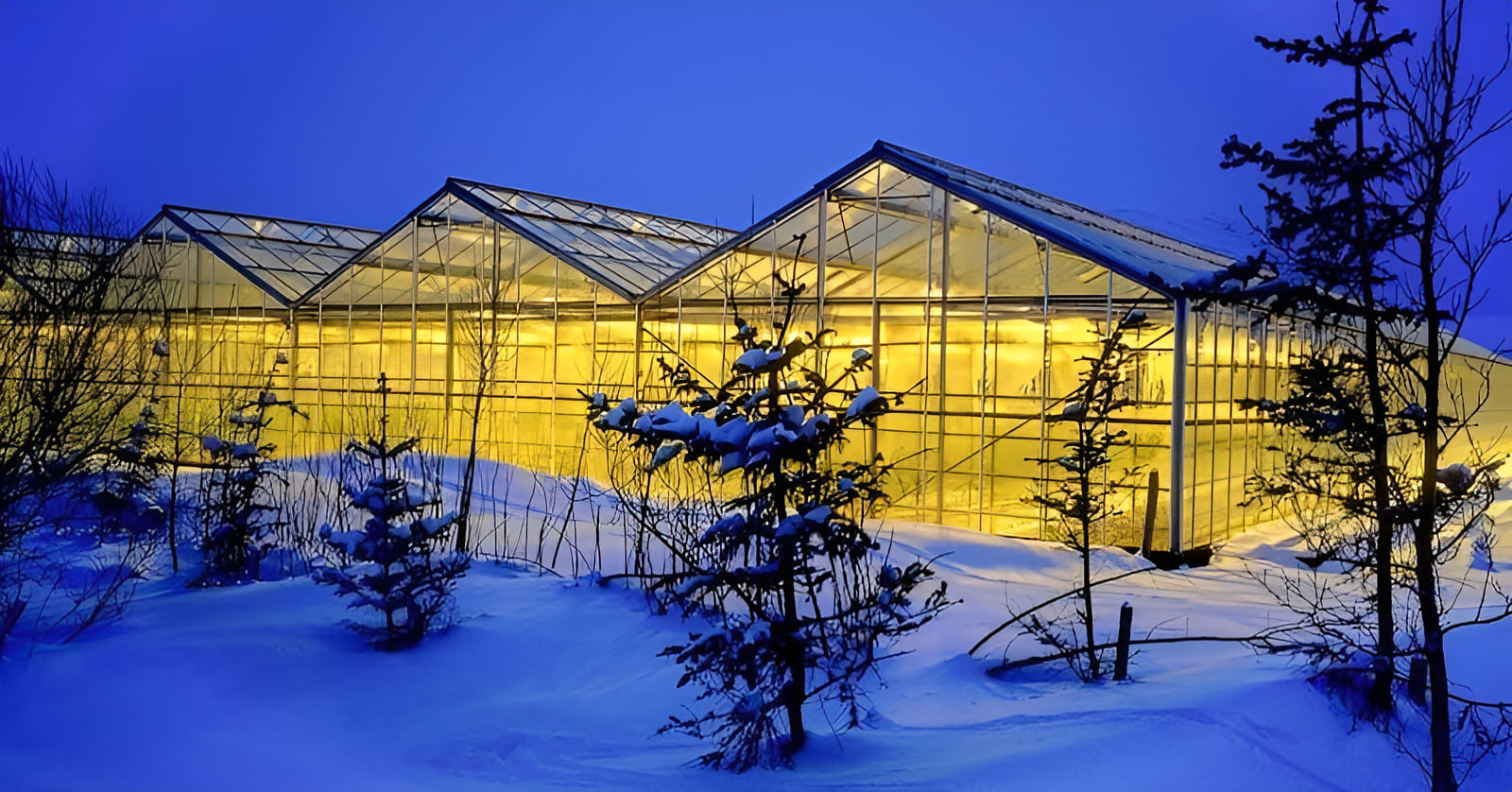 Narsaq geothermal greenhouse in Greenland supporting local food production in a cold-climate environment
