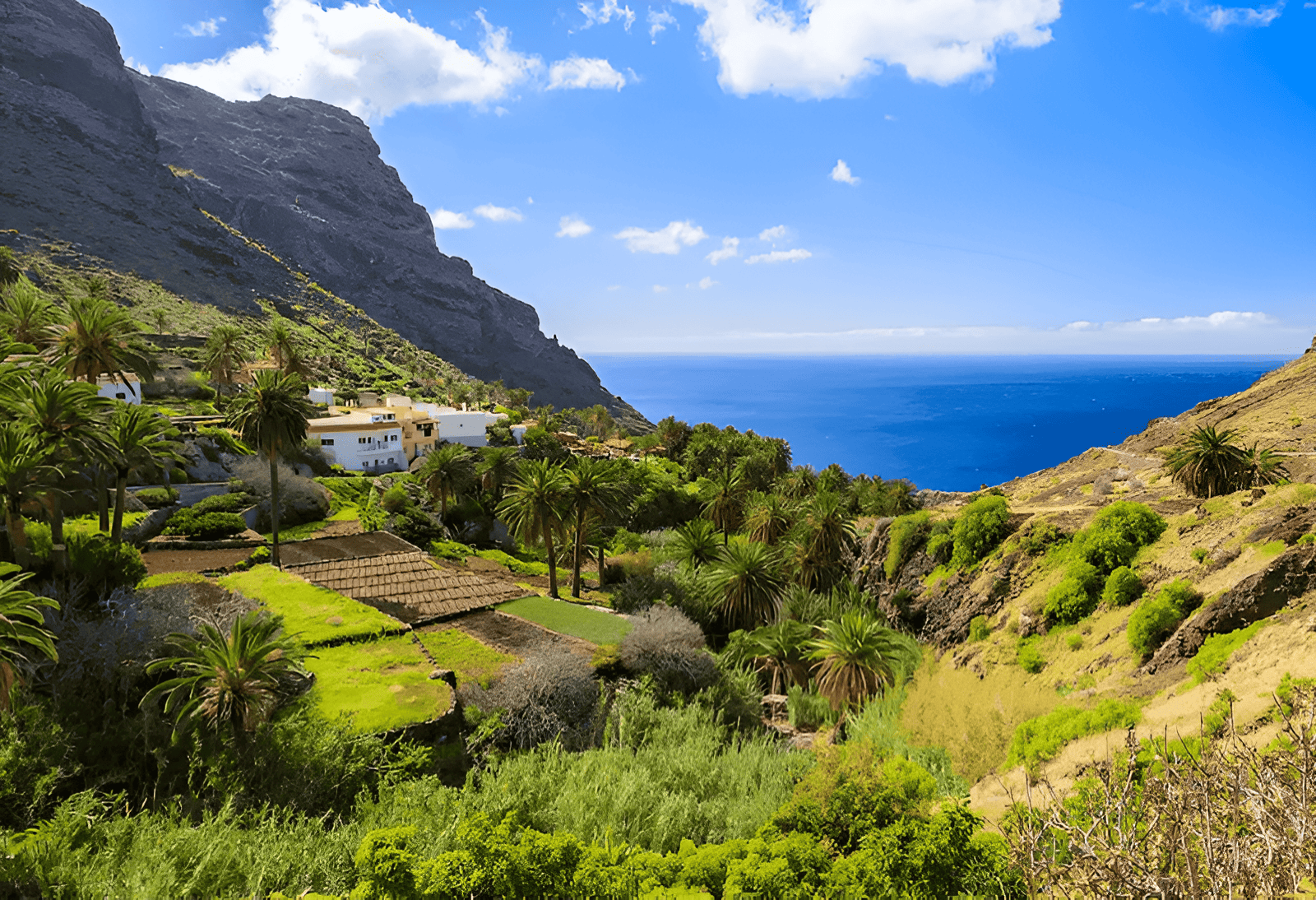 agriculture and food production in the Canary Islands