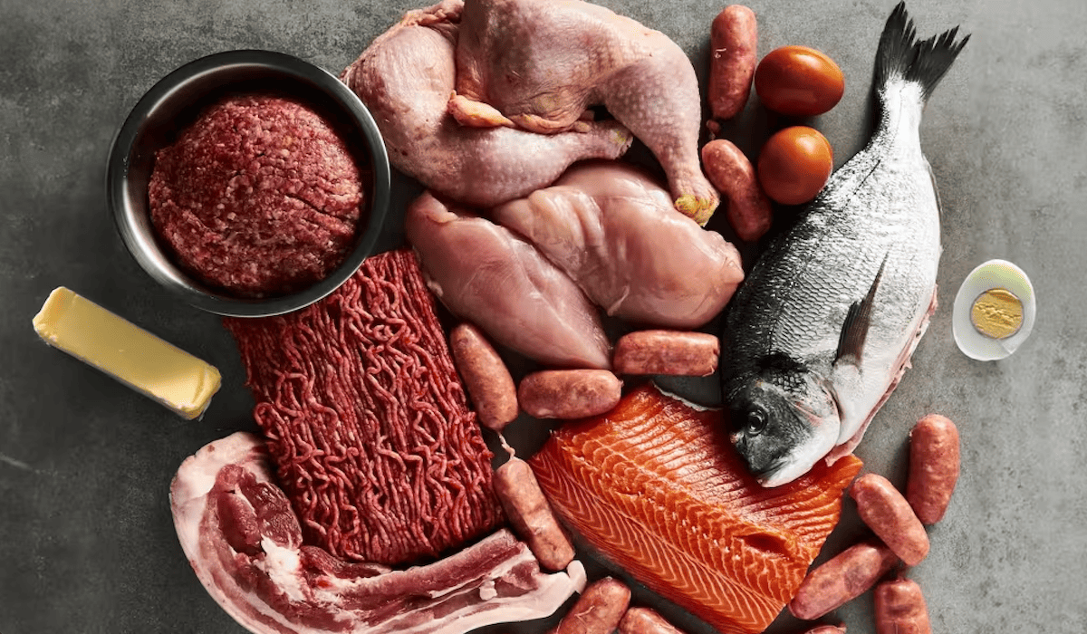 Carnivore diet foods including steak, eggs, and fish representing a meat-based diet