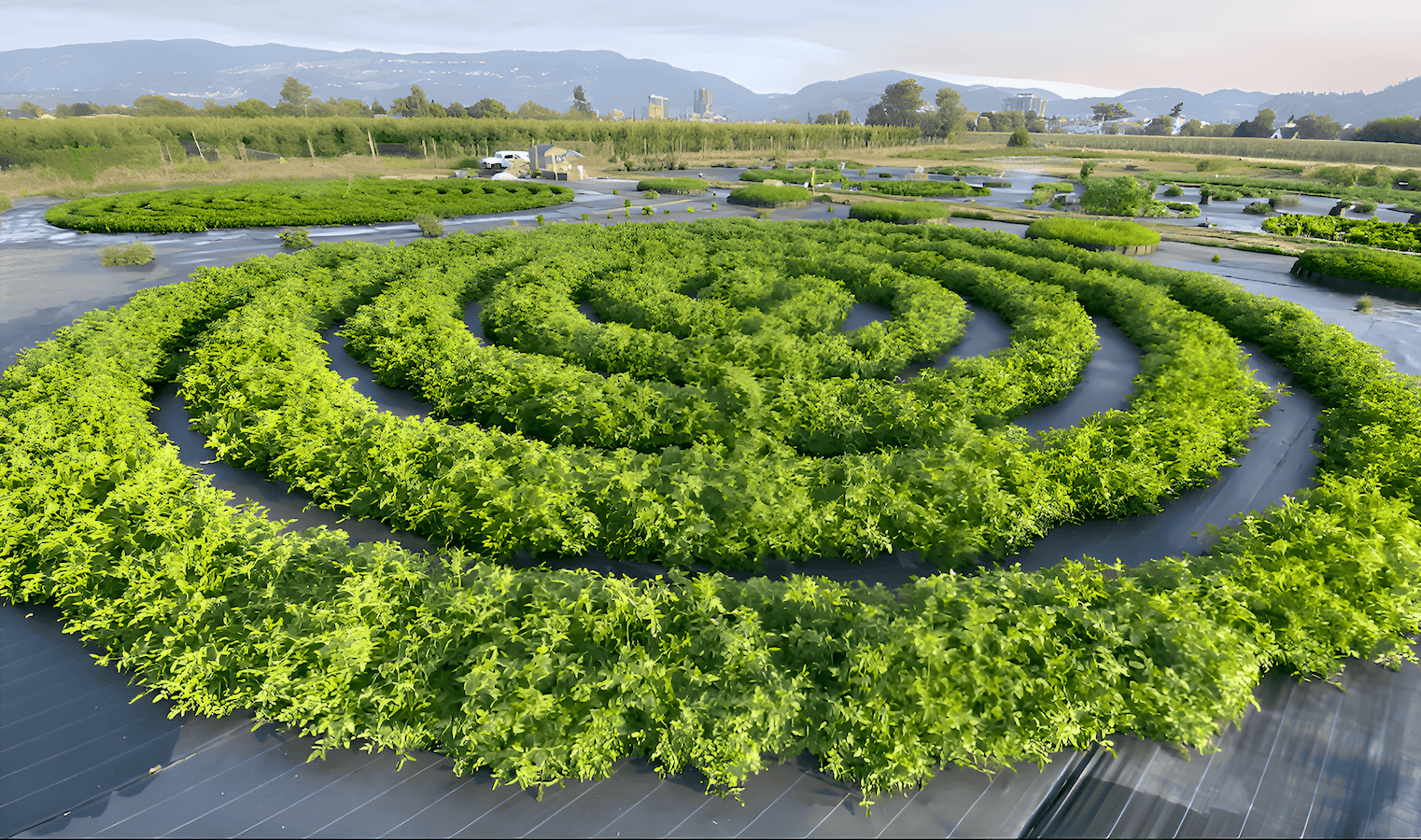 Large Spiral Garden demonstrating high-density community food production.