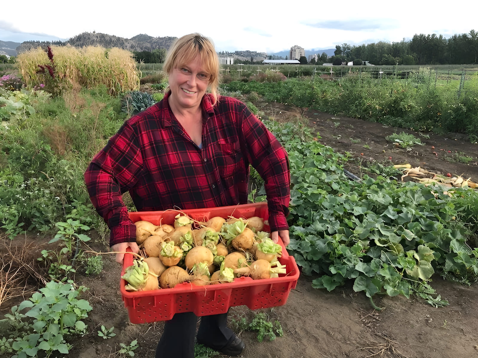 growing to give food ambassadors