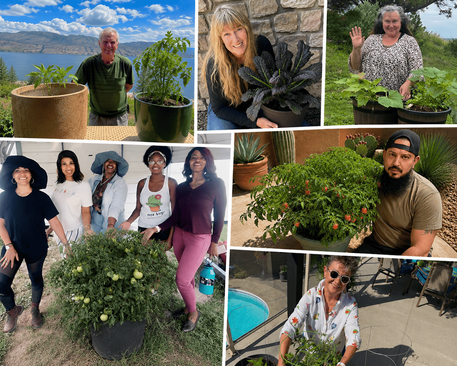 growing to give food ambassadors