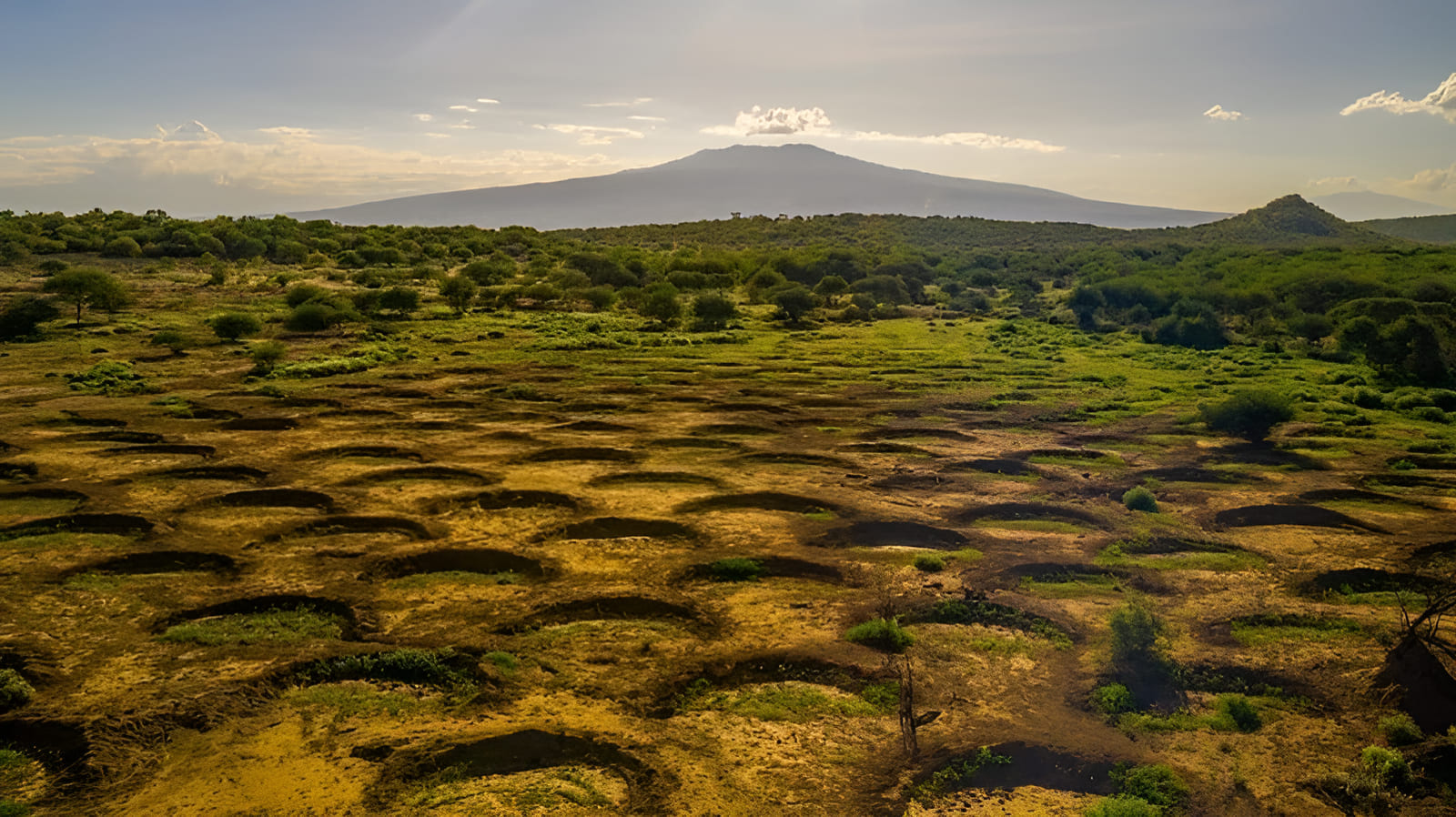rain water storage in the desert