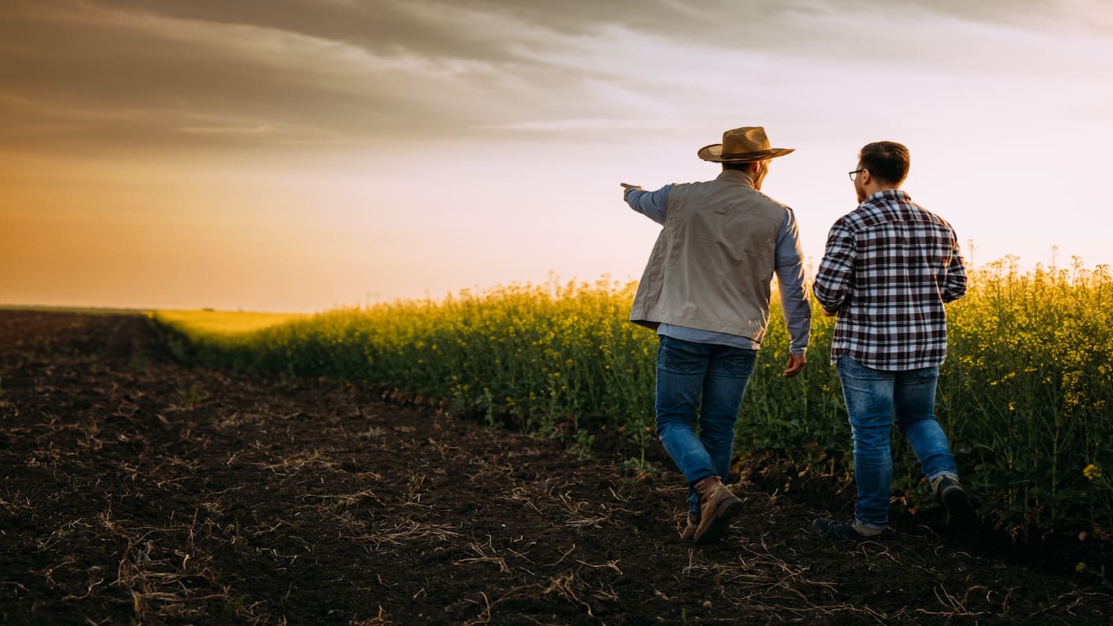 Growing To Give land stewardship network with Spiral Farms and agroforestry landscape