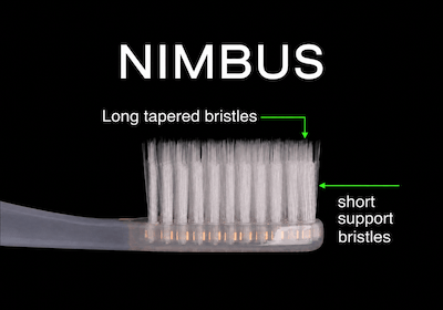 Nimbus Dental — Cancer Bites In-Kind Supporter