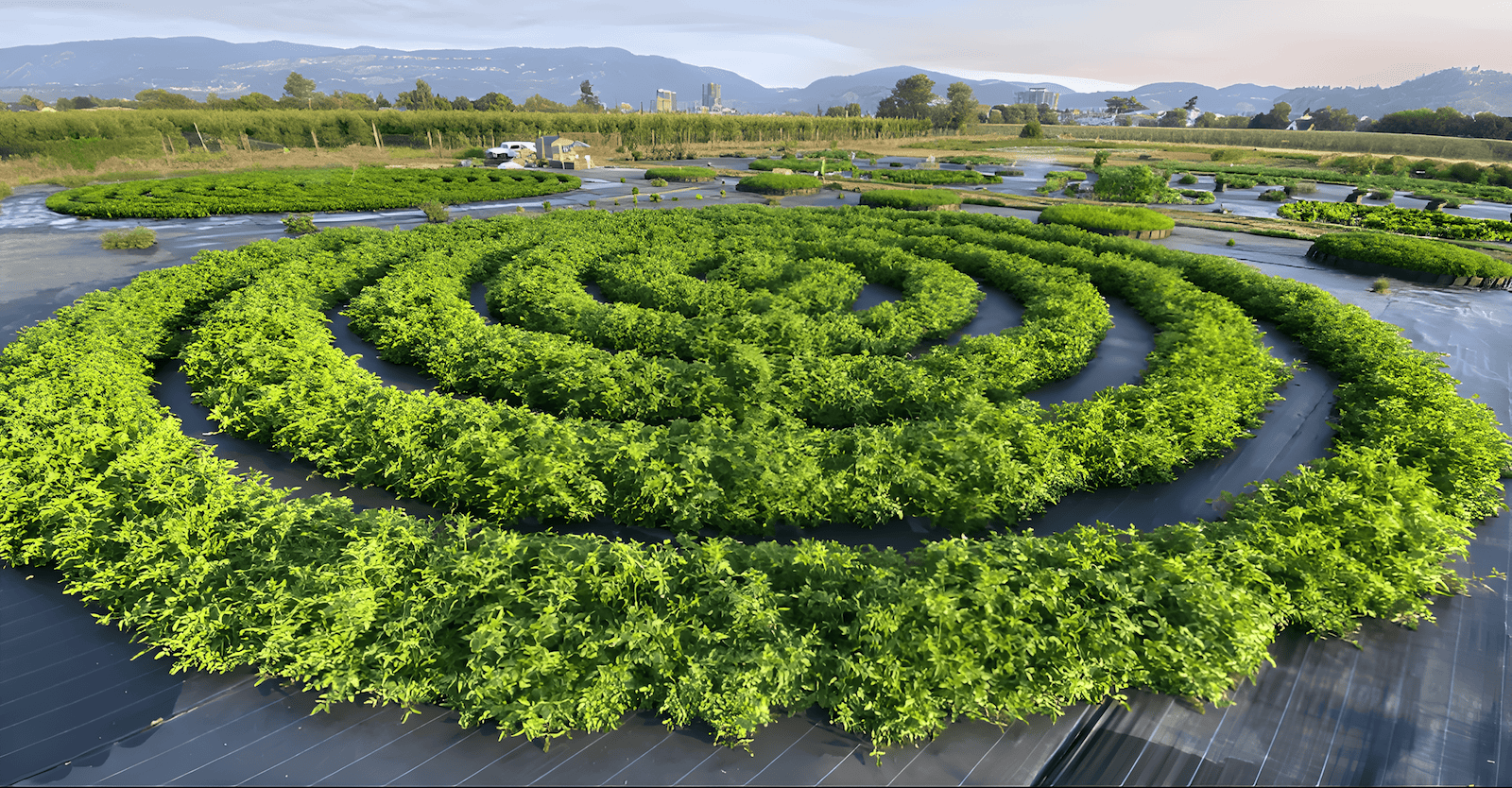 reimagine how we grow food