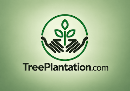 TreePlantation.com — Tree Accelerator Partner