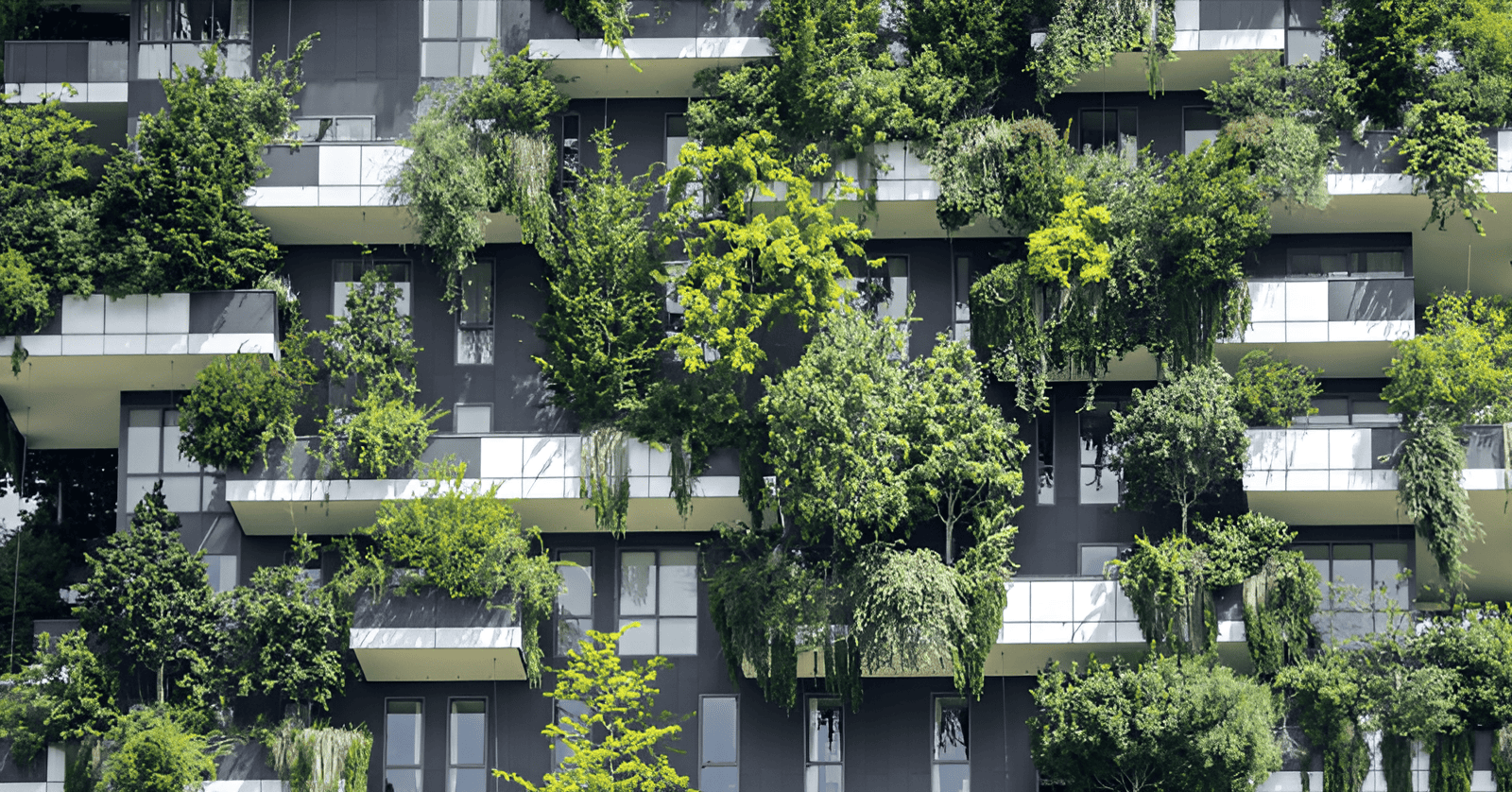 rooftop urban garden growing vegetables in a city